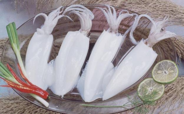 Squid 1